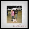 dog-care-houston-carillon-cares-066