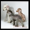 dog-care-houston-carillon-cares-020